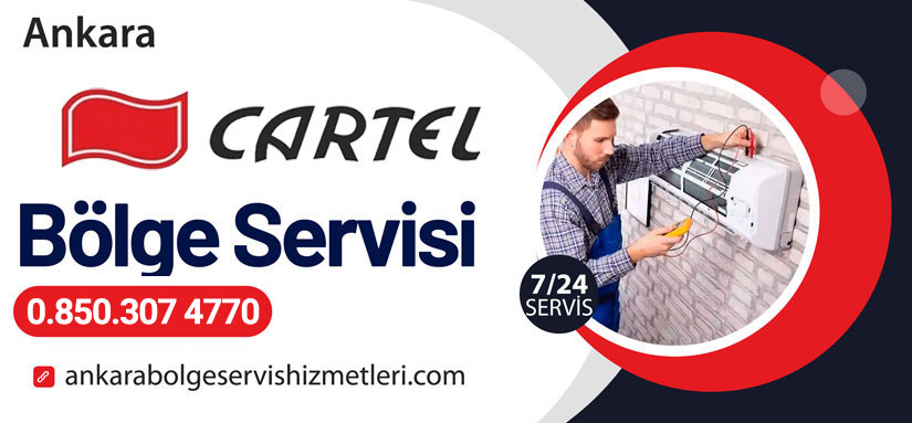 Cartel Ankara Klima Servisi