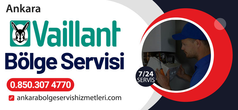 Vaillant  Ankara Kombi Servisi